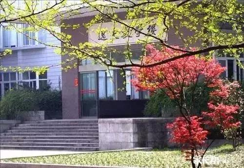 长沙六大名校高中,长沙六大教育集团旗下初中