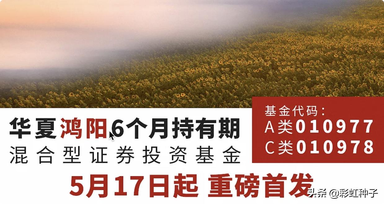 华夏基金经理蔡向阳,华夏基金经理蔡向阳管理基金业绩