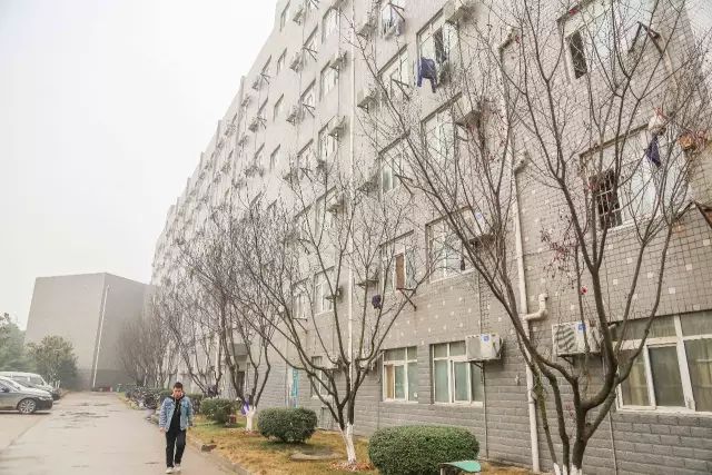 藏龙岛学校排名,藏龙岛的大学