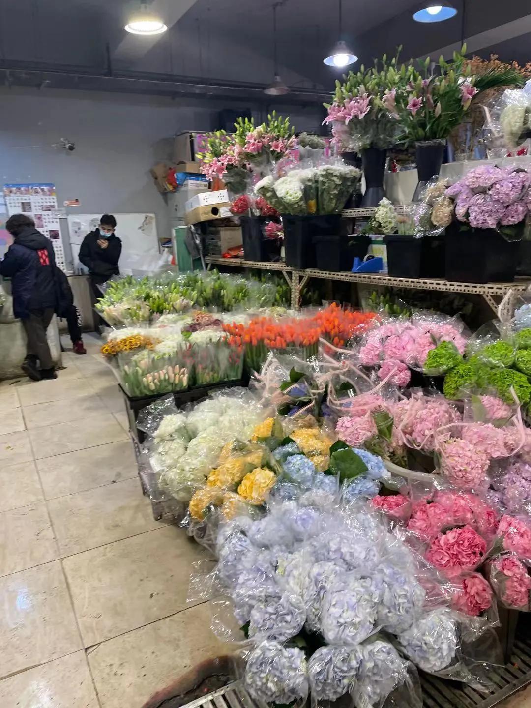 实拍青岛花卉市场！你每年都会选购哪些品种的年宵花呢？