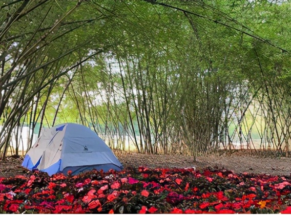 云南禄丰旅游线路攻略图,云南冬季自驾游最佳线路图