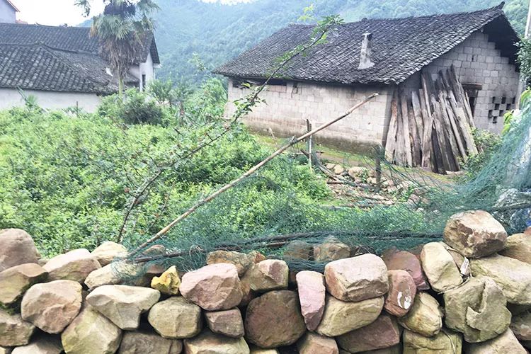 磨叽哥,磨叽哥直播