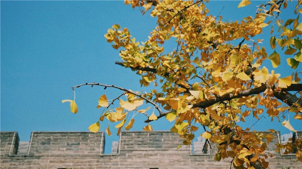 西安八月约会最佳地点,西安周末情侣最适合约会的地方