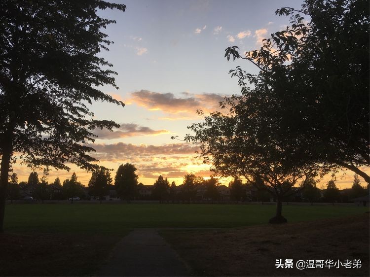 加拿大_WestRichmond西列治文社区夏秋