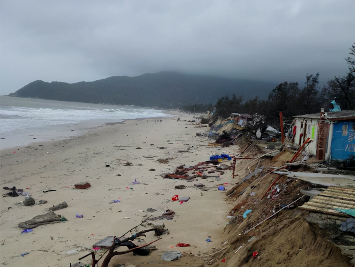过来人|他用热爱海洋、守护地球的心打动招生官