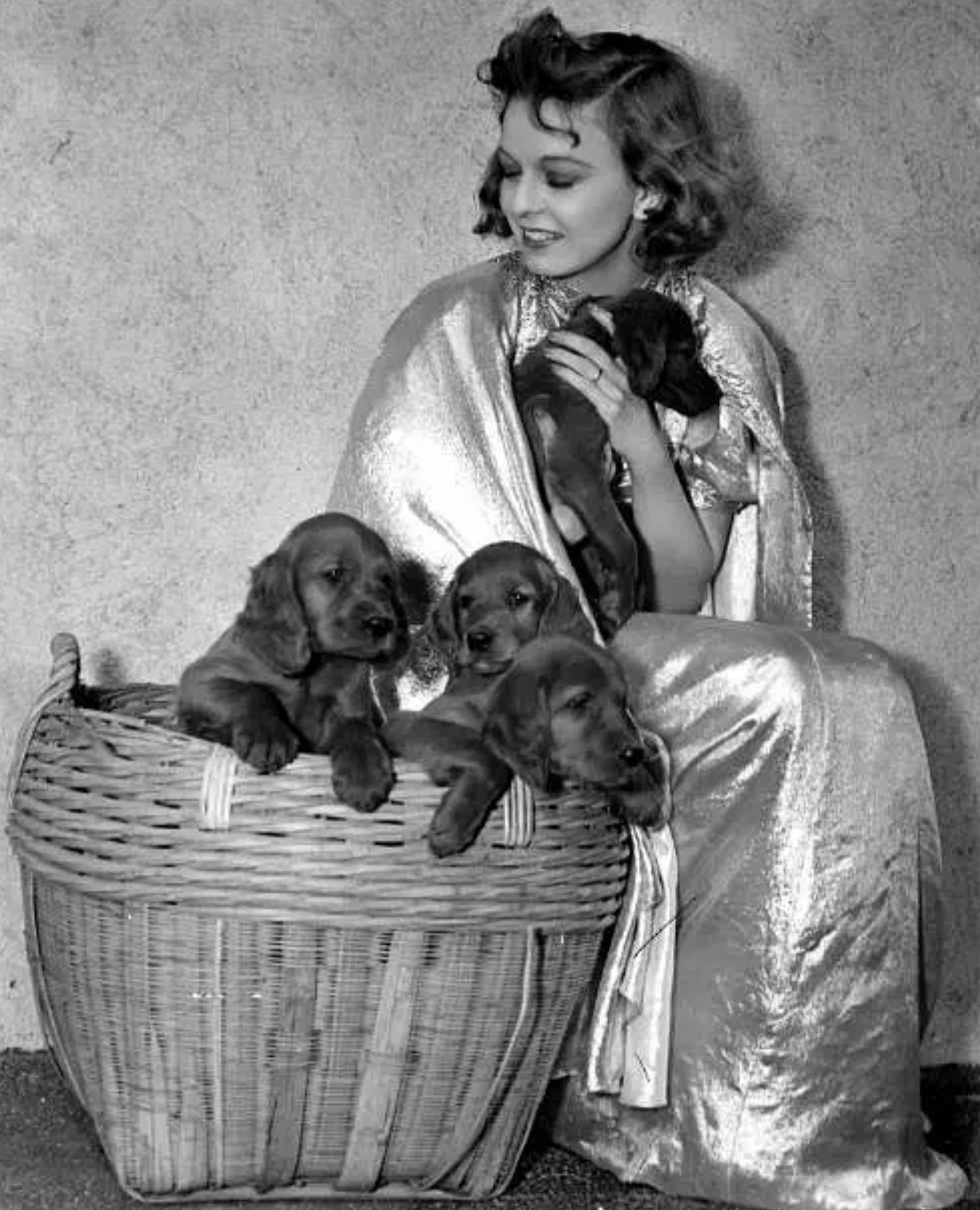 詹姆斯史都华爱情,詹姆斯史都华费城故事