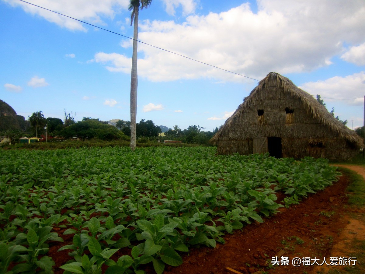 给我一支雪茄，我别无他求！探访世界顶级雪茄故乡，人人享受其中
