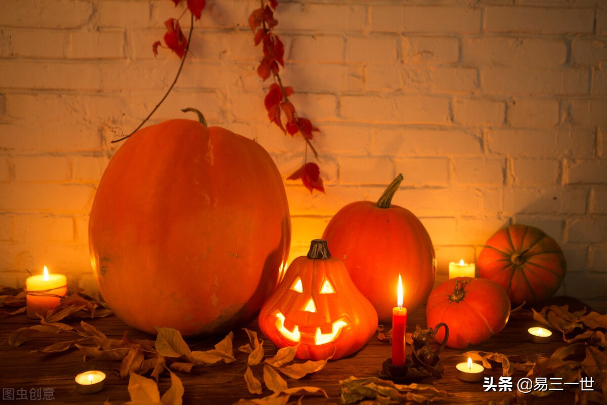 南瓜北瓜是一种瓜吗,南瓜北瓜都是瓜