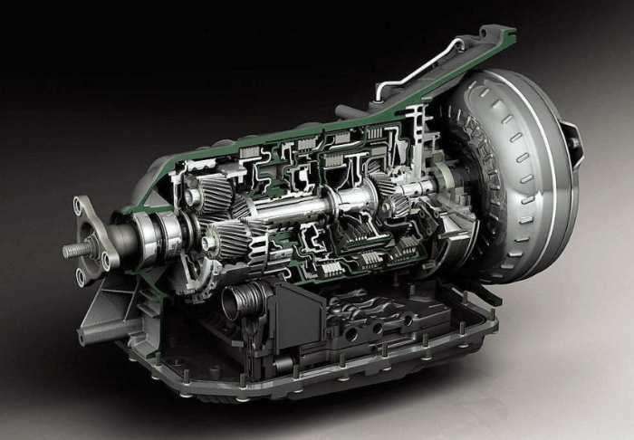 回归大自然的猎豹,回归越野