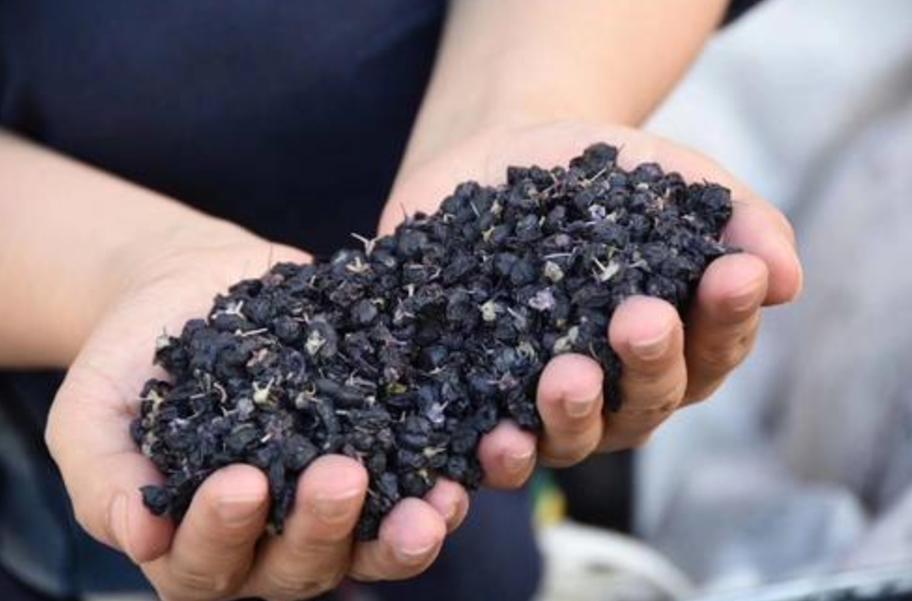 同样的黑枸杞价格差距为啥那么大,黑枸杞价格暴跌原因