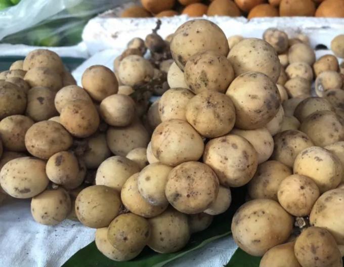 云南西双版纳旅游特色水果,云南西双版纳水果花