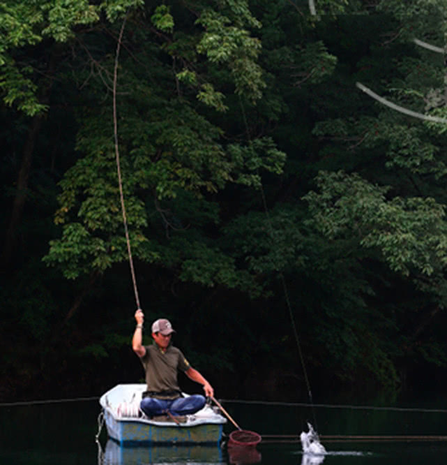 并继鱼竿和振出竿区别,振出式鱼竿和并继式鱼竿哪个好