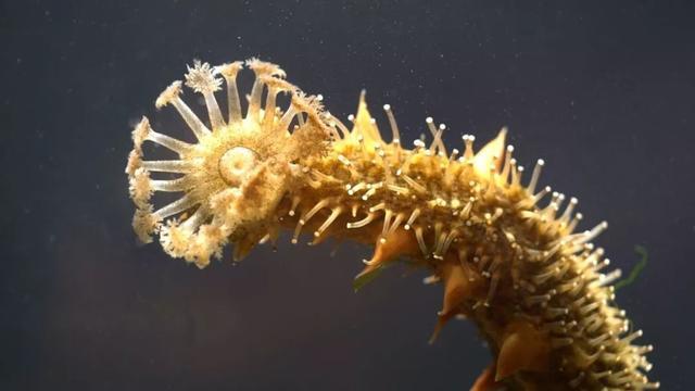 27岁姑娘创业失败,27岁姑娘白手起家400栋楼