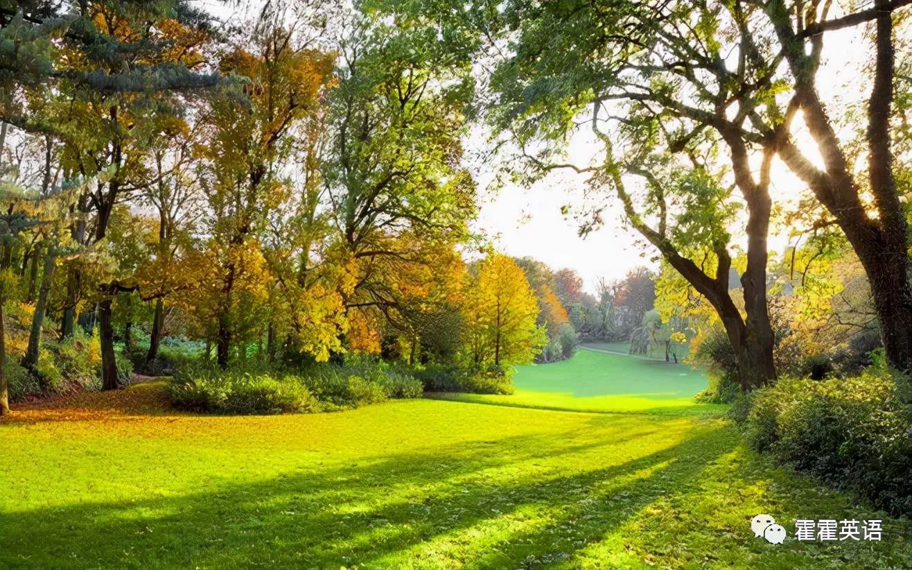 无灵主语句的用法,无灵主语句