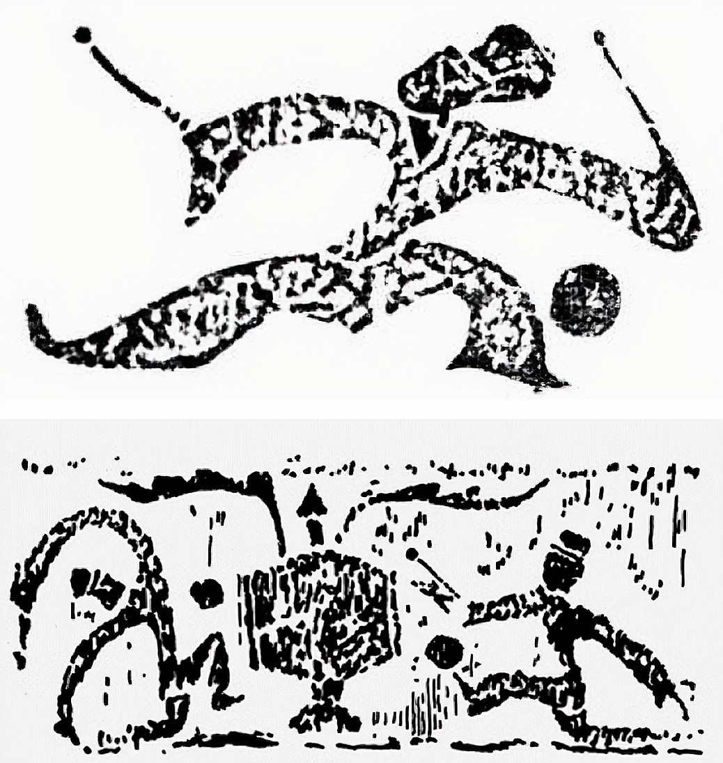 中国女足为何能崛起,中国女足是怎么崛起的