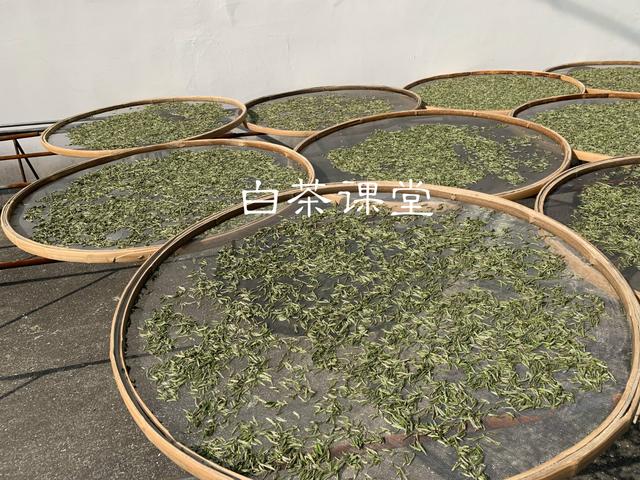 看完这六个问题你还敢迷茫吗,看完这六个问题你还再迷茫吗