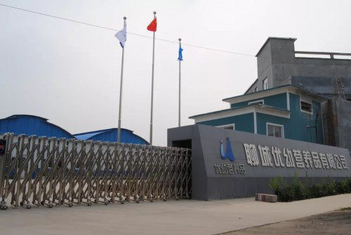 浼樺辜姣嶅┐2019,浼樺辜姣嶅┐