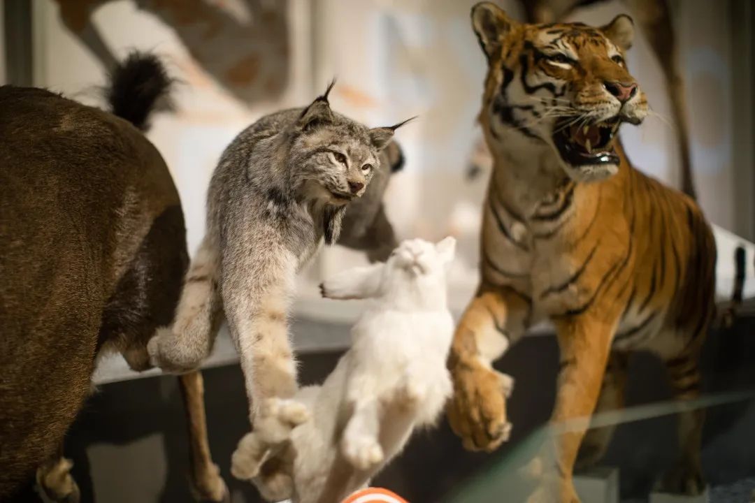 成都周边适合夜游的古镇,成都周边夜游网红地点推荐