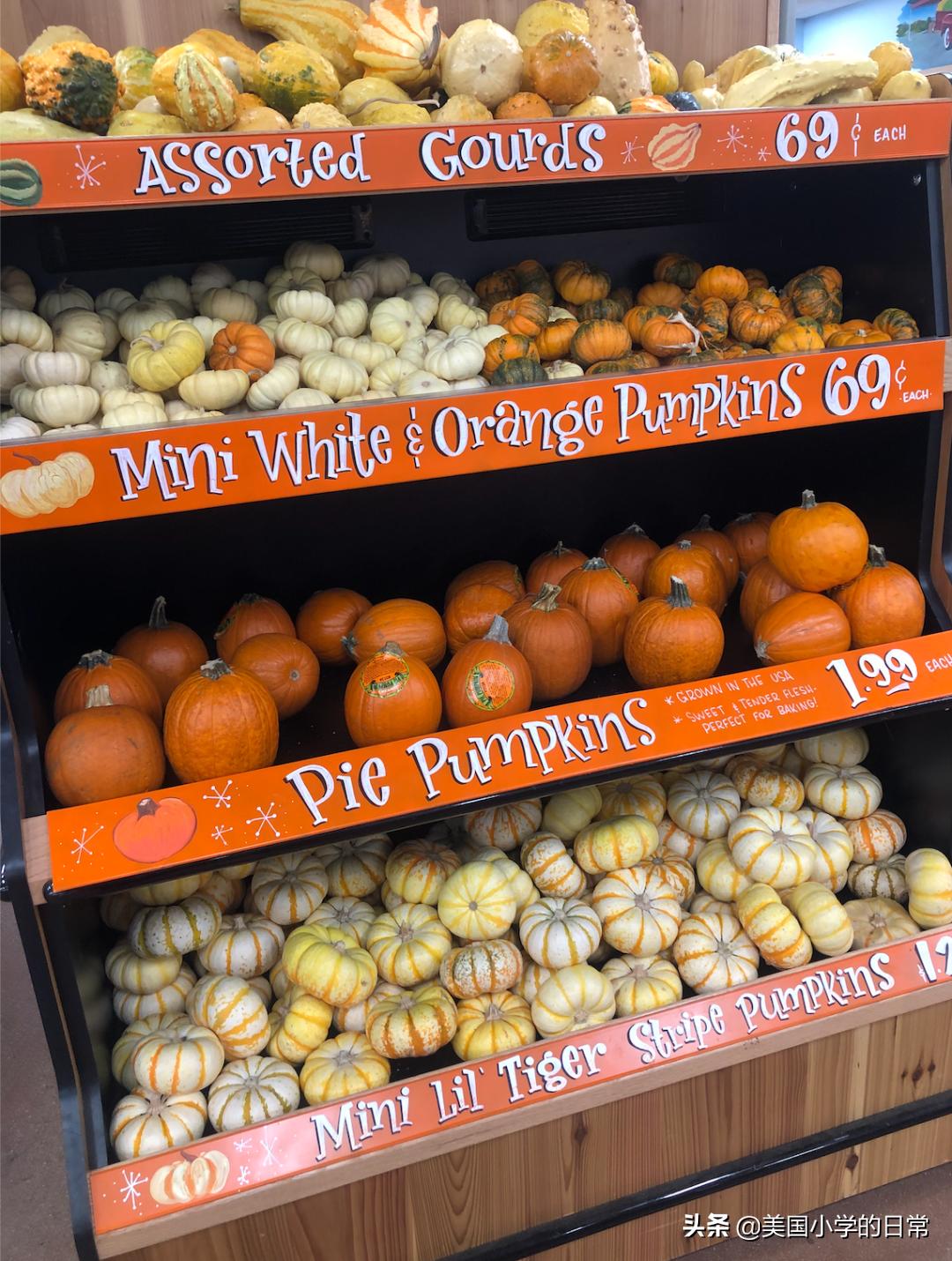 一个南瓜引发的学习激情，为何让美国孩子如此着迷？