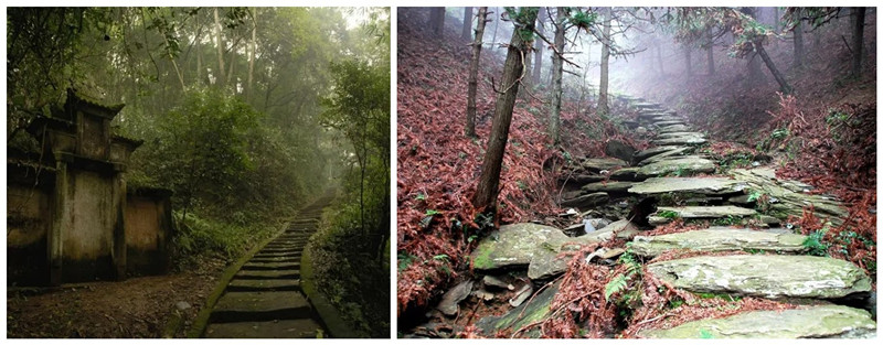 闯关东走西口下南洋的历史背景,闯关东走西口下南洋的那些年