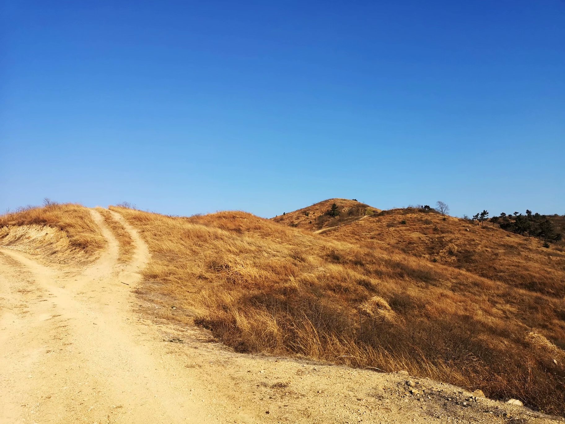 摩托周边旮旯游——探访蚌埠李楼鲁山寺遗址（上）