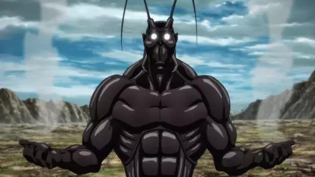 北方人到南方最能承受的温度,北方人到南方最怕冷吗