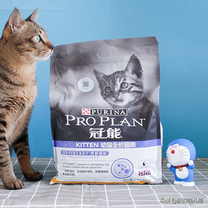 舒化牛奶猫可以喝吗,人喝的牛奶猫能喝吗