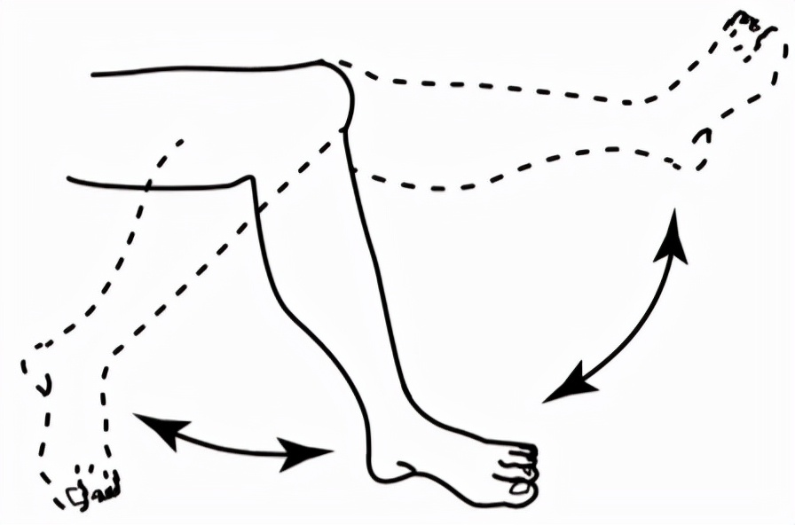肌骨康复研究常用方法,肌骨康复入门书籍