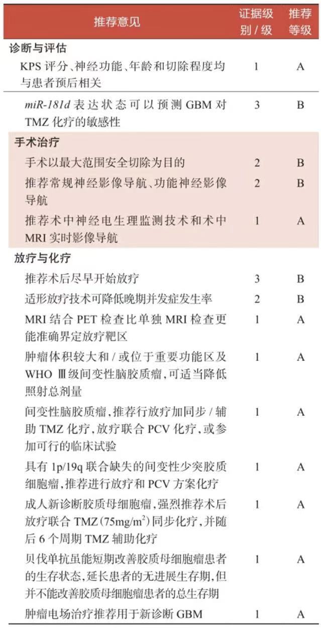 高级别脑胶质瘤的治疗,最新指南怎么说?