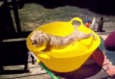 猝不及防一字马搞笑动图,搞笑gif倒立外加一字马