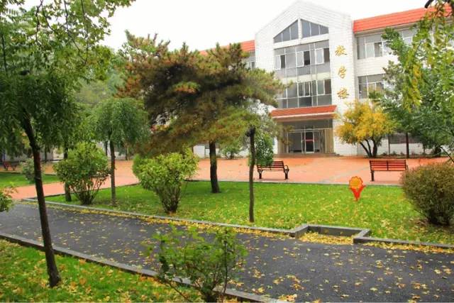 安阳市第一中学985上线率,一本上线率百分之80的高中