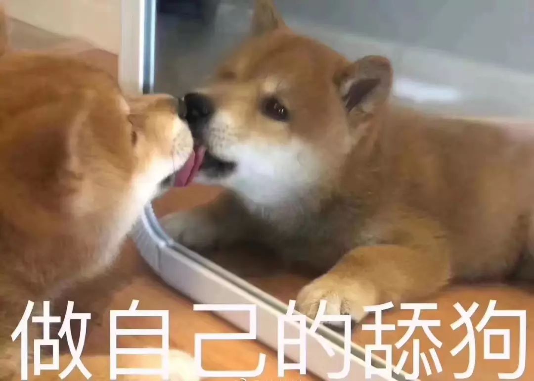 舔狗日常论一个舔狗可以有多舔,舔狗就是舔狗哪来那么多问题