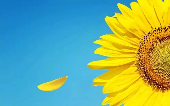 宿迁市儿童医院王晓红主任:预防儿童性早熟,莫让“花儿”过早开放