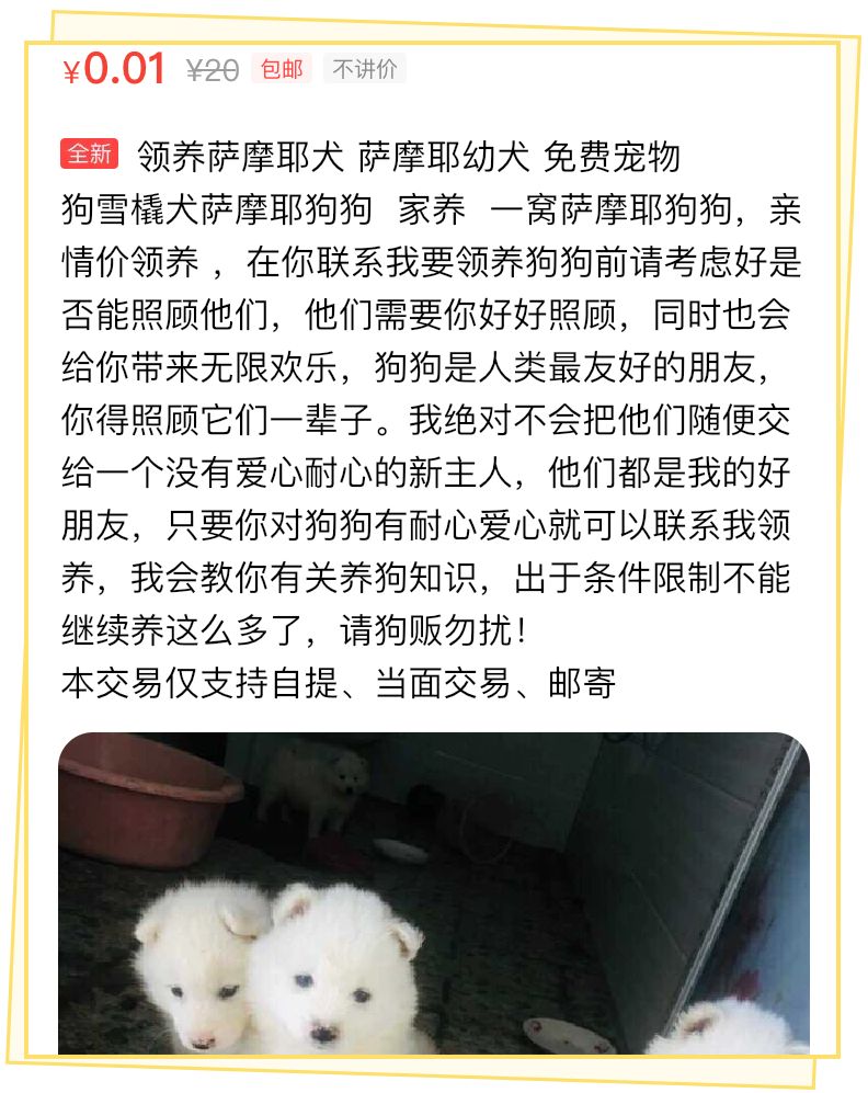 用闲鱼的人都很low？Naive