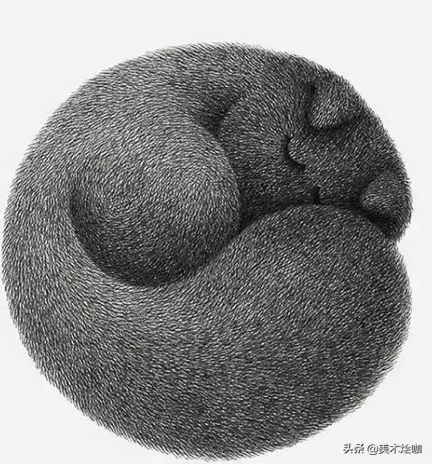 他用一支5块钱的针管笔“撸猫”，17万网友直呼：这猫要活了