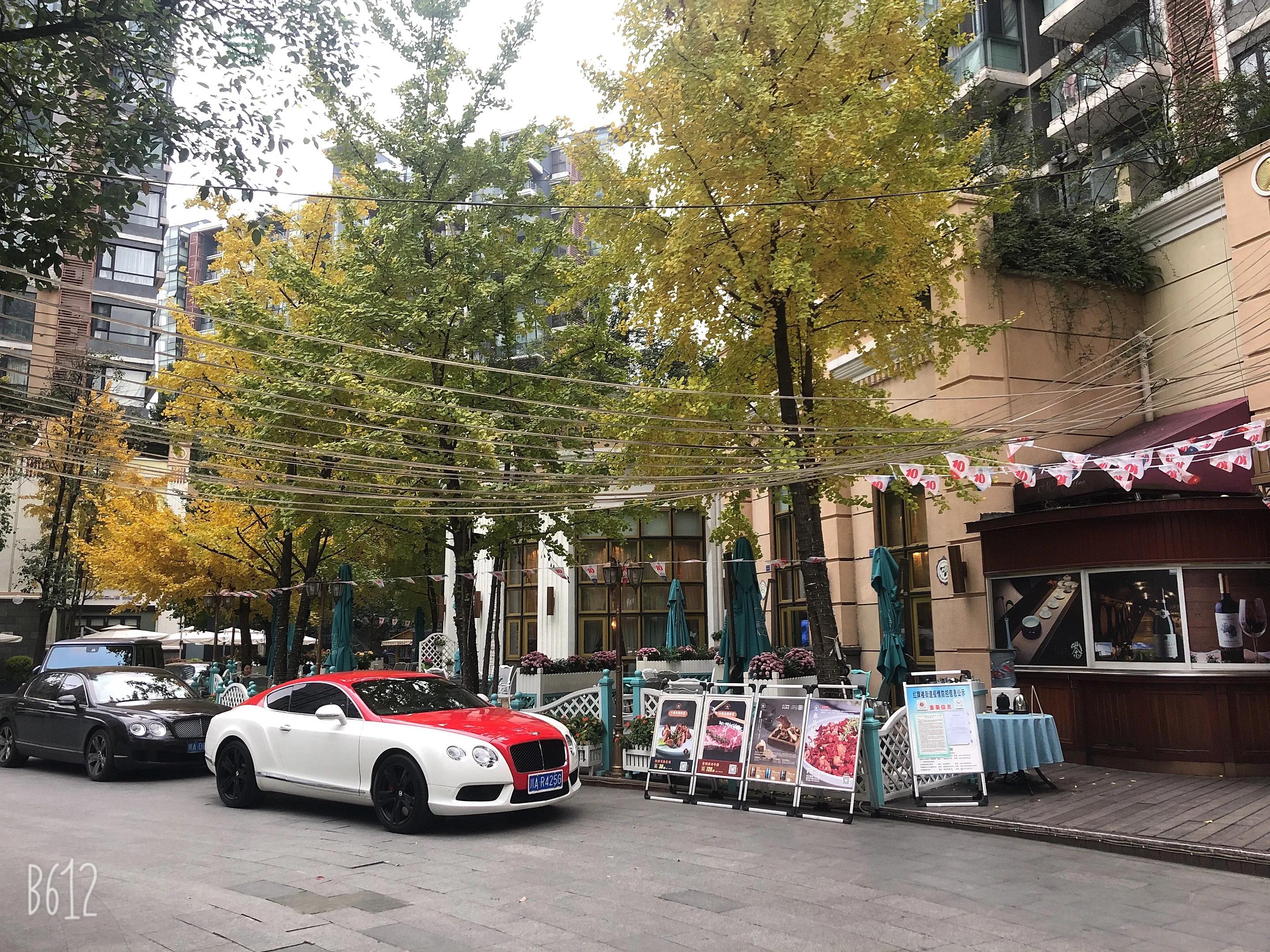 成都鹭岛国际社区步行街,成都鹭岛步行街攻略