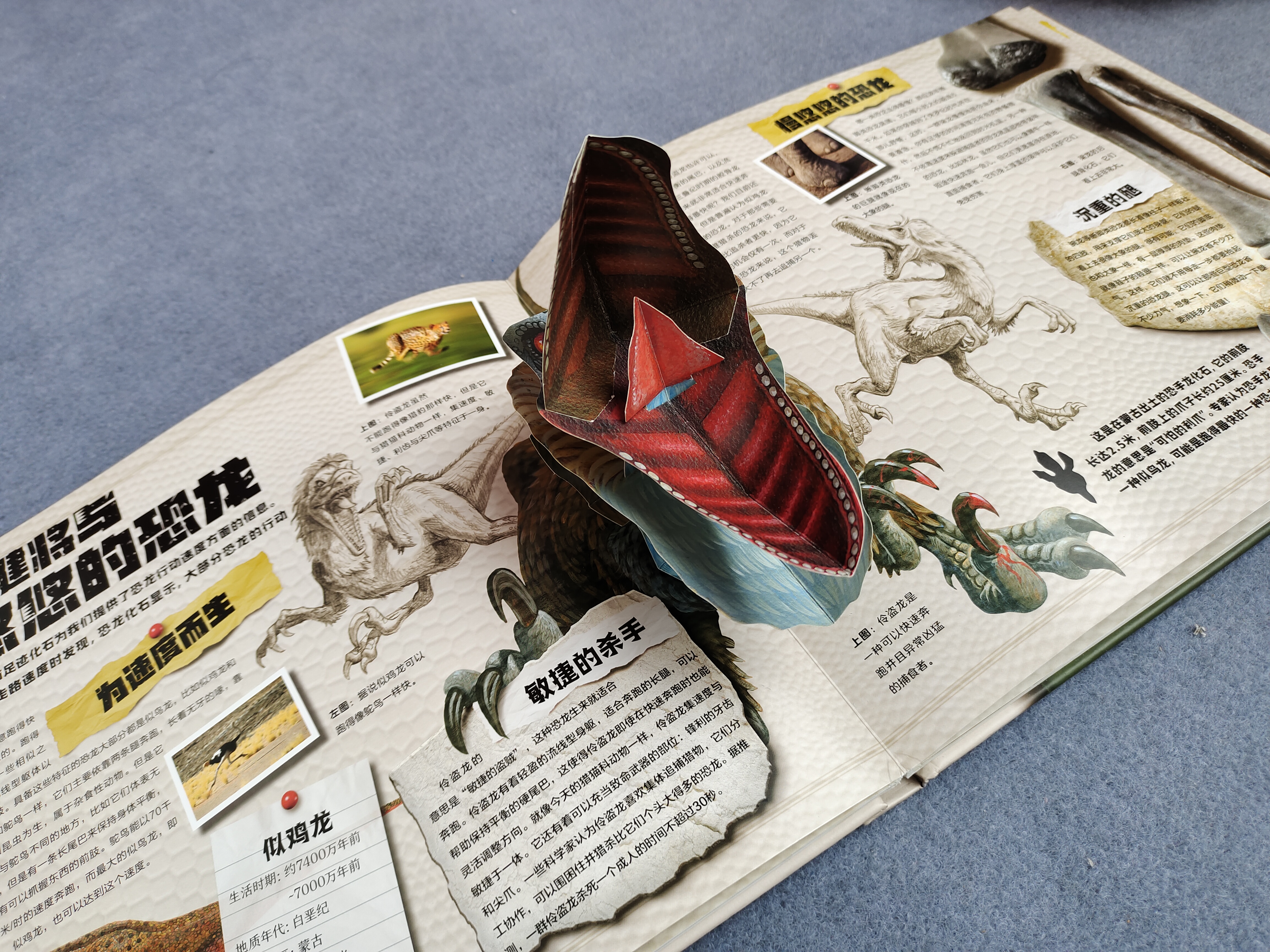 恐龙百科全书恐龙世界的无穷奥秘,世界上最全的恐龙百科全书