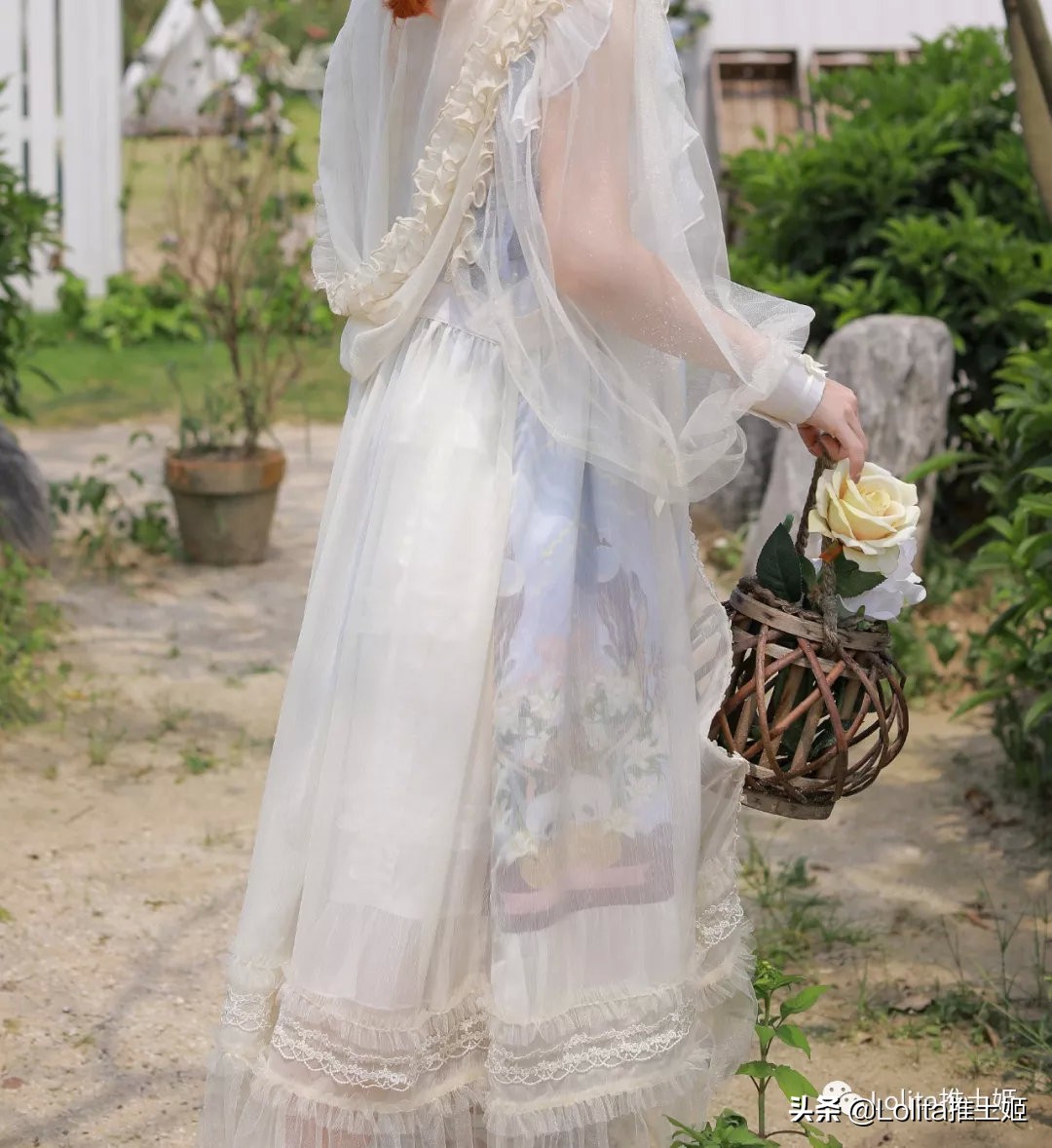 lolita每日精选去哪里看,lolita上新7月底至8月