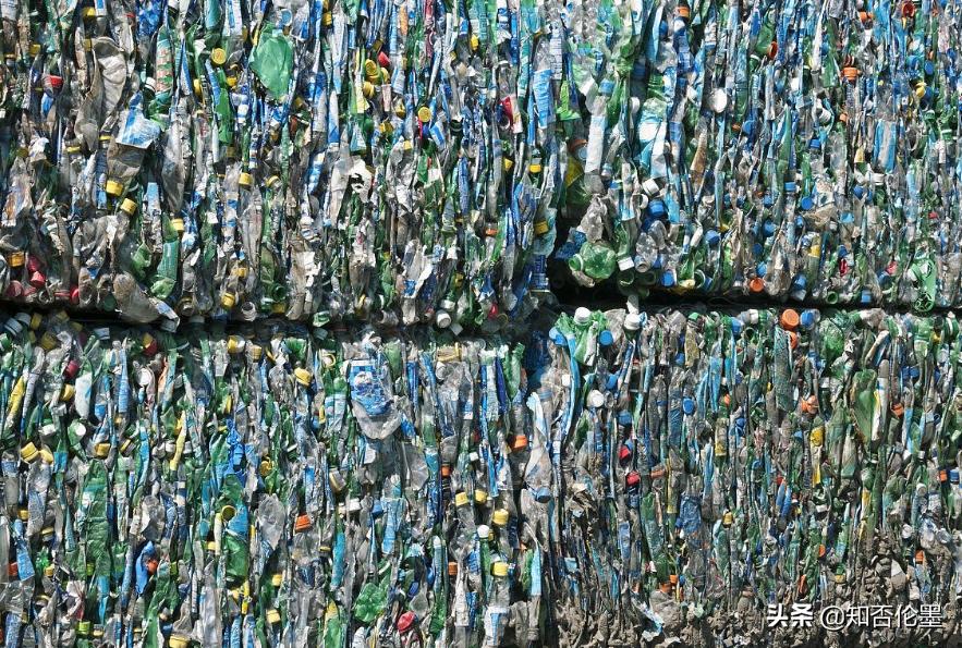 农村适合哪些投资少风险小的养殖,农村养殖种植与三农创业致富项目