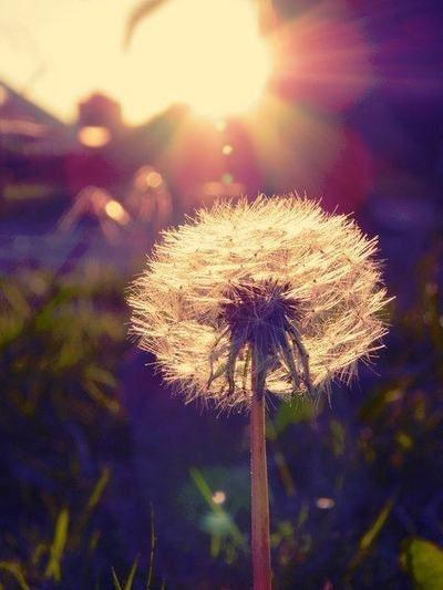 没有白费的努力就没有必然的成功,人生没有白费的努力与碰巧的成功