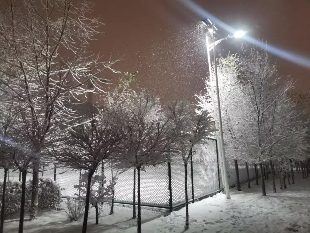 辽宁中医药大学杏林学院独立学院,辽宁中医药大学三个校区