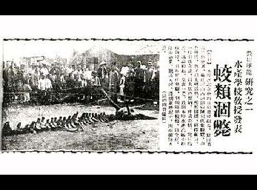 世界上长得最像龙的生物,最像中国龙的生物