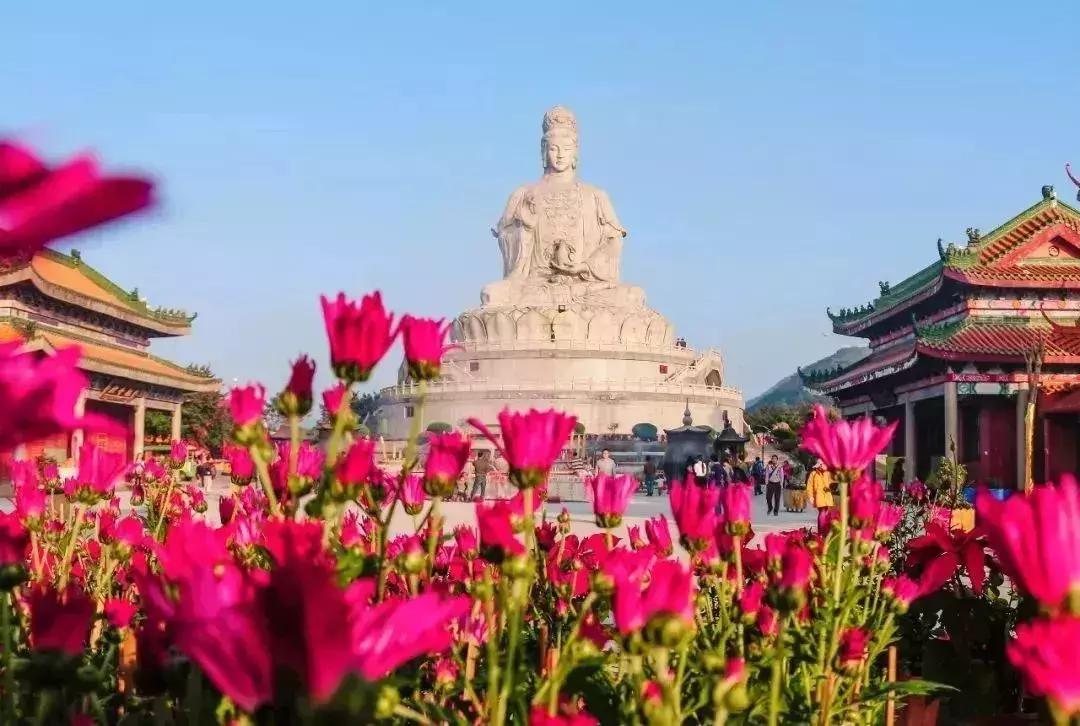 广州周末踏青好去处人少的地方,适合清明踏青的地方广州有哪些