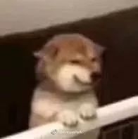 黑眼圈脂肪粒什么原因,眼部有细纹和黑眼圈的最简单方法