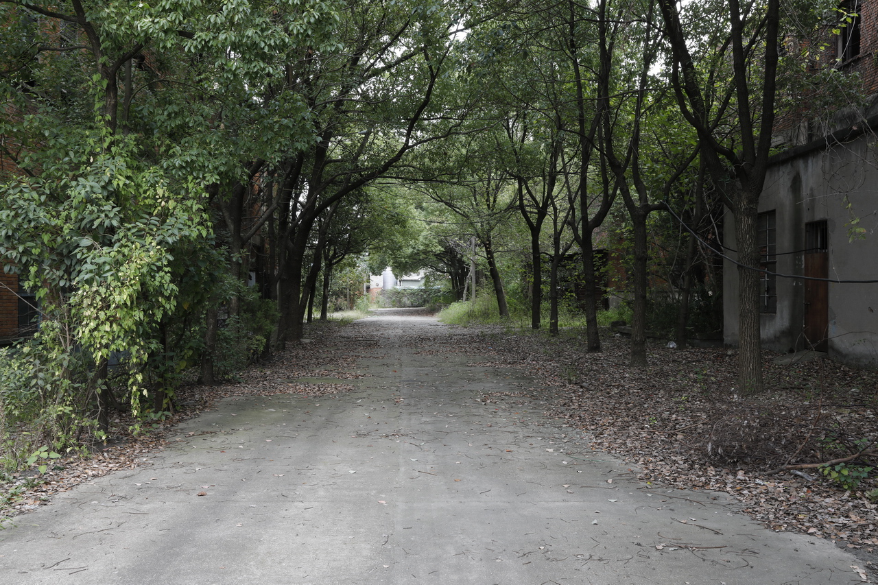 湖北武汉东西湖雪花啤酒,武汉东西湖华润雪花啤酒厂怎么样