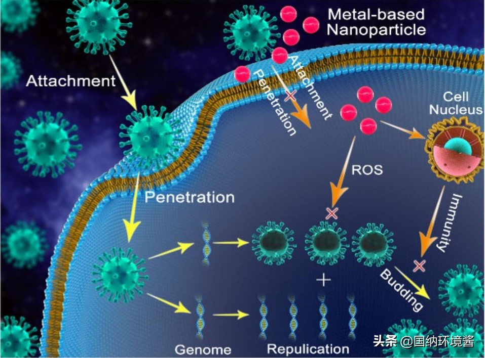 国内唯一一款杀新冠病毒的产品,高效灭杀新冠病毒面料问世