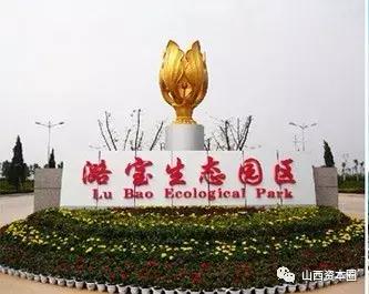 山西潞宝集团卖了吗,山西潞宝集团2008年规模