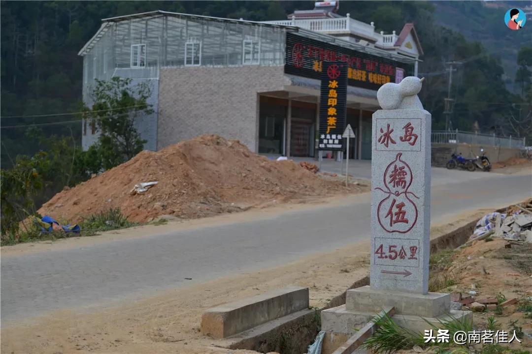 冰岛老寨大秋茶园的茶是真的吗,冰岛五寨之一糯伍什么口感