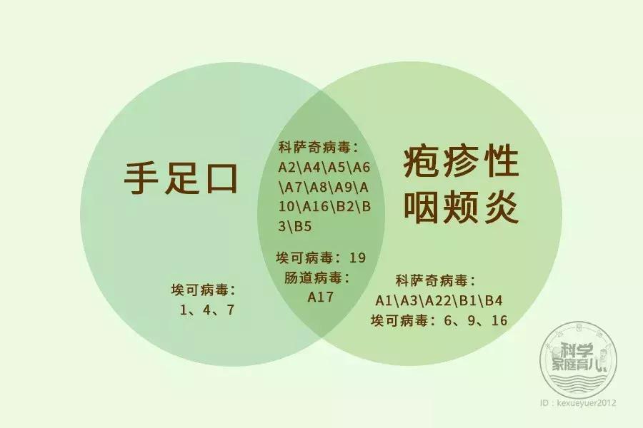 利巴韦林对手足口效果怎么样,手足口病喝利巴韦林