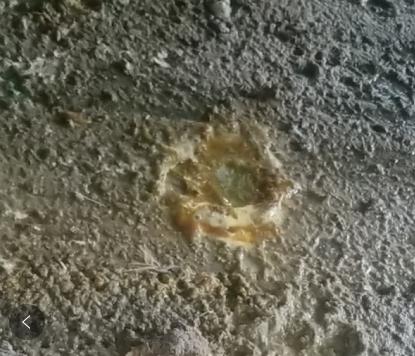 鸡得了肠道炎用什么药最佳,鸡肠炎最怕什么病